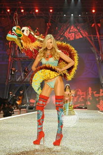 劉雯有維密有過(guò)翅膀嗎