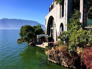 楊麗萍月亮宮在哪里