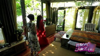 楊麗萍月亮宮在哪里