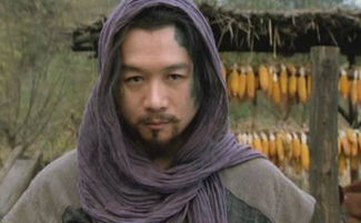 楊志是誰的后人