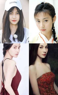 楊穎和楊雪是親姐妹嗎