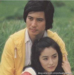 秦漢現(xiàn)在還愛林青霞嗎