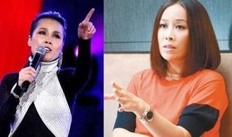 田震那英怎么回事