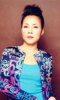 田震那英怎么回事