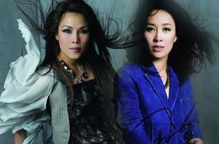 田震那英怎么回事