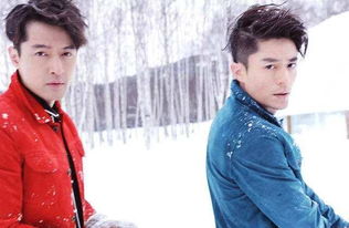 胡歌和霍建華演的電視是什么