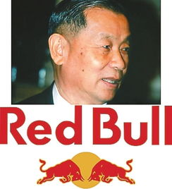 許書標算中國人嗎