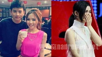 謝娜與張杰離婚了嗎