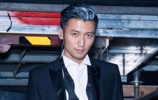 謝賢和向華強(qiáng)誰勢(shì)力大