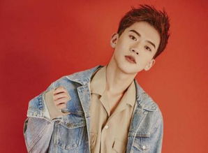 費啟鳴怎么紅的