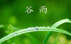 谷雨前后天氣怎么樣