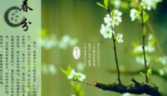 谷雨清明春分雨水怎么排列