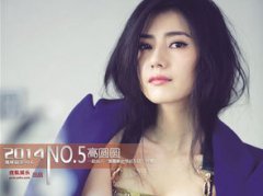 高圓圓演的電影有哪些