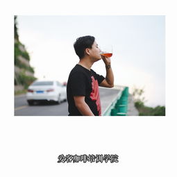 非寧靜無以致遠的以是什么意思