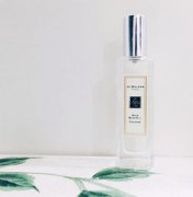 祖馬龍藍風鈴好聞嗎