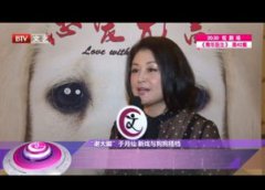 于月仙演的關于狗的電影是什么