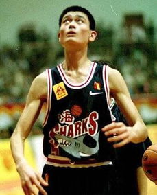 趙蕊蕊為什么不跟姚明