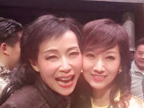 趙雅芝葉童去過酒店嗎