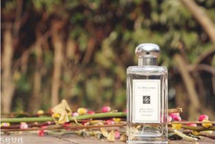 祖馬龍藍風鈴好聞嗎