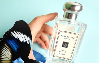 祖馬龍藍風鈴好聞嗎