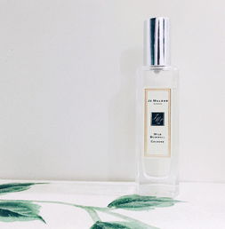 祖馬龍藍風鈴好聞嗎