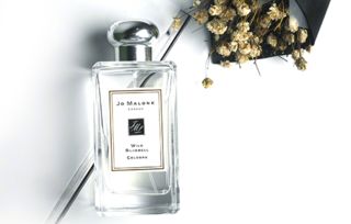 祖馬龍藍風鈴好聞嗎