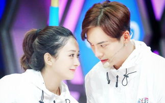 趙麗穎喜歡陳偉霆嗎