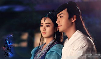 趙麗穎喜歡陳偉霆嗎