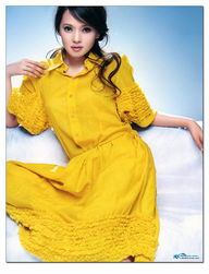 伊能靜有多少財產