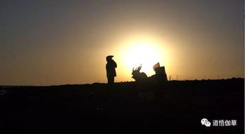 一縷陽光什么意思