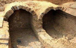 姚玉忠盜過誰的墓