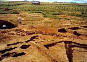 姚玉忠都去哪里盜過墓