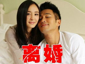 楊冪劉愷威最新消息離婚了嗎