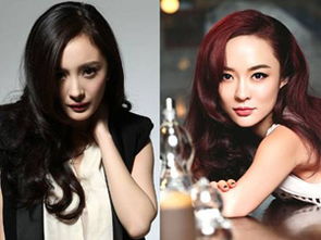 楊冪霍思燕翻臉原因是什么