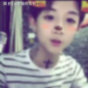 野貓楊浩宇怎么火了