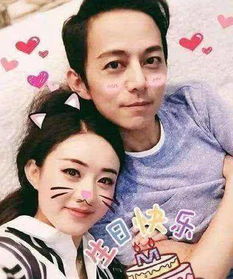 何炅趙麗穎為什么互刪微博