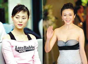 關悅關之琳什么關系