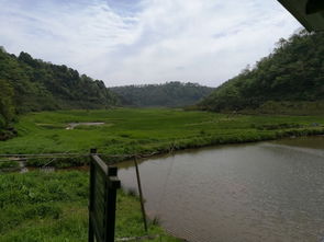 海子山在哪個地方