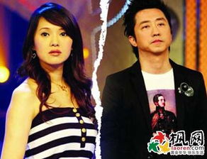 哈林伊能靜為什么離婚