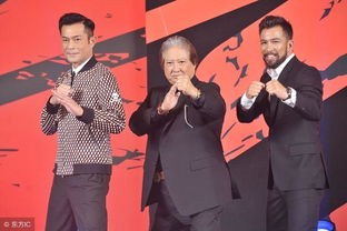 洪金寶和向華強誰厲害