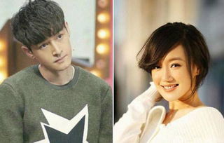 胡歌薛佳凝為什么分手