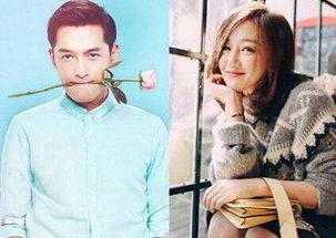 胡歌薛佳凝為什么分手