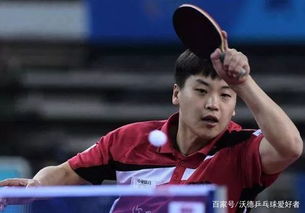 郝帥乒乓球退役了嗎