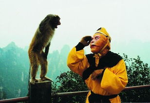 郭富城演的孫悟空電影是什么