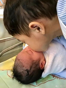 郭晶晶生了幾個寶寶