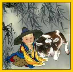 郭靖是什么生肖