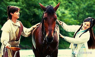 郭靖是哪個朝代