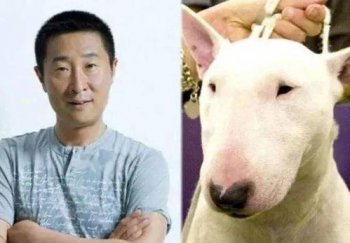 像林永健的狗什么品種