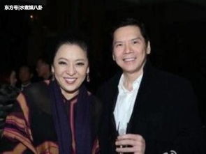 向佐是向華強和誰生的