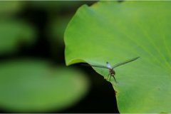 夏天是幾月到幾月